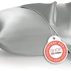 2 Pack Gray‎ Satin Silk Pillowcases for Sleeping Pillowcase Queen Size 20x30